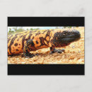 Recherche de monstre gila cartes postales Lézard