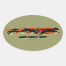 Recherche de flyball Chien