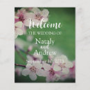 Recherche de plan prospectus Rose