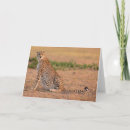 Recherche de grands chats vœux cartes Faune