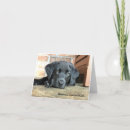 Recherche de laboratoire vœux cartes Chiot