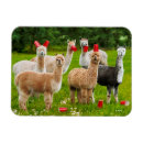 Recherche de couper magnets Mignon