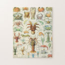 Recherche de homard puzzles Vintage