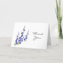 Recherche de delphinium cartes postales Larkspur