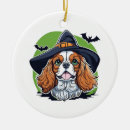 Recherche de sorcière sur le balai ornements Halloween