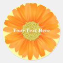 Recherche de gerbera autocollants Jaune