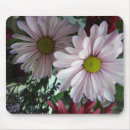 Recherche de floral pourpre rose électronique Fleurs