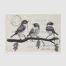 Recherche de quatre arbres cartes postales Oiseau