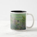 Recherche de tracteur vert tasses Rural