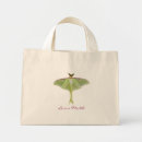 Recherche de faune sacs Insecte