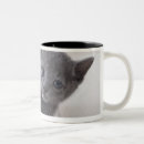Recherche de bleu russe tasses Animaux de bébé