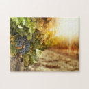 Recherche de vignoble puzzles Automne