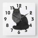 Recherche de artiste principal horloges Animaux