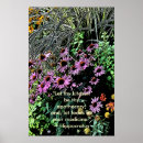 Recherche de coneflowers Plantes