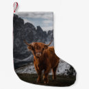 Recherche de vache chaussette de noël Montagne