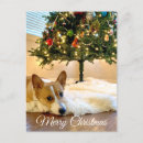 Recherche de chiot de vacances cartes postales Mignon
