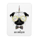 Recherche de magique magnets Animal