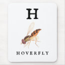 Recherche de voleur tapis souris Insecte