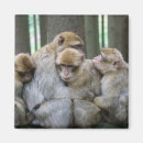 Recherche de câlin magnets Famille
