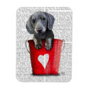 Recherche de magnets Chiot