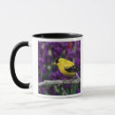 Recherche de tasse de café de chardonneret tasses Jaune