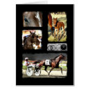 Recherche de attelage cartes postales Standardbred