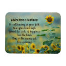 Recherche de conseil magnets Tournesol