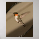 Recherche de faune et flore posters Vie