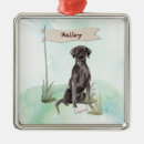 Recherche de black lab ornements Labrador