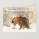 Recherche de tiger cartes postales Tigres