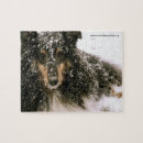 Recherche de sheltie puzzles Chien