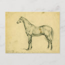 Recherche de cheval de guerre cartes postales Civil