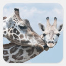 Recherche de jeune animal autocollants Animaux sauvages