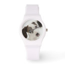 Recherche de femelle montres Animaux