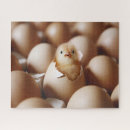 Recherche de poussins puzzles Oeuf
