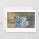 Recherche de peinture de cygne cartes postales Oiseau