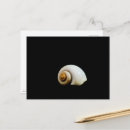 Recherche de mer morte cartes postales Nature