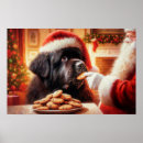 Recherche de chien terre neuve posters Newfie