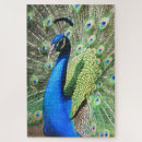 Recherche de impressionnant puzzles Oiseau