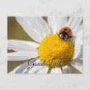 Recherche de fleuri toutes vœux cartes Fleurir