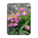 Recherche de de marguerite magnets Pour tous