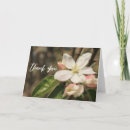 Recherche de fleurs de pomme vœux cartes Photographie