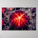 Recherche de oursin posters Nature