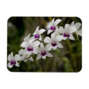 Recherche de singapour magnets Asie