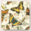 Recherche de insecte dessous de verres Chenilles
