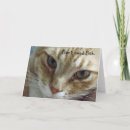 Recherche de chat tigré orange vœux cartes Chats