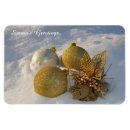 Recherche de noel photographie Hiver