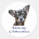 Recherche de humour chien autocollants Amour