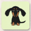 Recherche de chiot dessous de verres Teckel