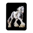 Recherche de chevaux de trait magnets Pour tous